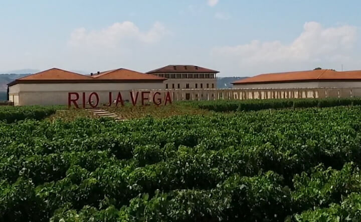 Rioja Vega – витончена мелодія Іспанії
