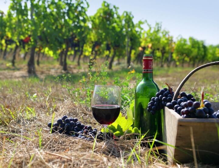 Cantine Pellegrino - найяскравіші традиції італійського тихого вина