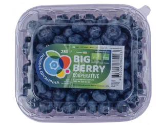 Лохина органічна Big Berry фото