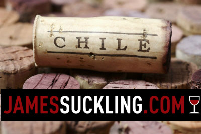 Чилійське вино: ТОП-10 від Джеймса Саклінга фото