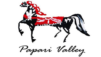 Історія брендів: Papari Valley фото