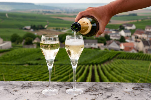 Топ 7 лучших игристых вин Италии фото